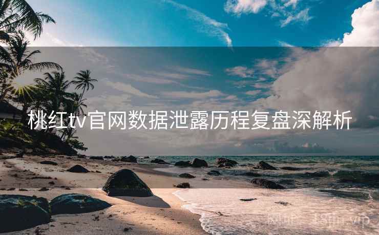 桃红tv官网数据泄露历程复盘深解析