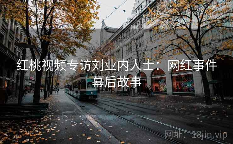 红桃视频专访刘业内人士：网红事件幕后故事